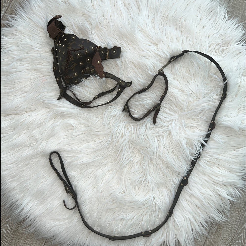 Custom 1 of 1 LV muzzle/collar/leash set